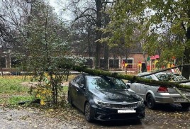 За упавшее на автомобиль Щекинца дерево управляющая компания заплатит почти 800 000 руб. Как юрист вогнал в долги организацию в которой работает.